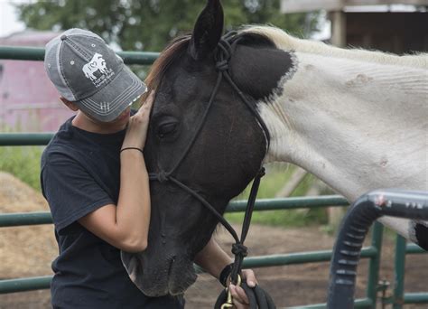 Horses are strong and resilient. . Horse plus humane society staff